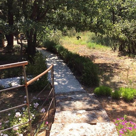 Roussillon en Isere Le Bois De La Courヴィラ エクステリア 写真